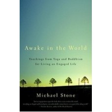 Awake in the World: Teachings from Yoga & Buddhism for Living an Engaged Life (Paperback) by Michael Stone